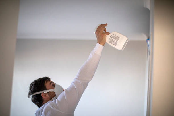 Best Health and Safety Mold Remediation in Rosanky, TX