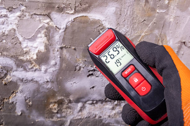Best Bathroom Mold Remediation in Rosanky, TX