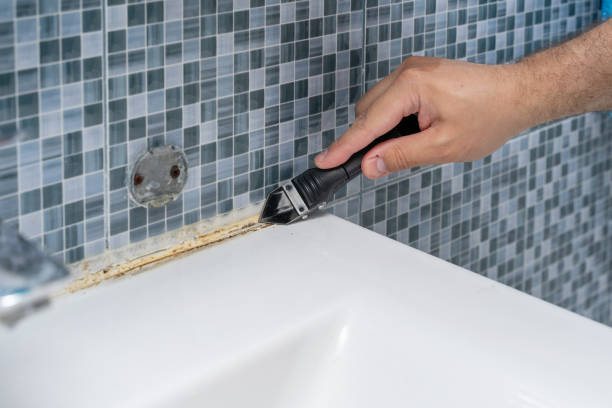 Best White Mold Remediation in Rosanky, TX